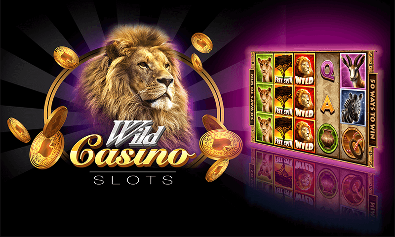 Full Review of Wild Casino